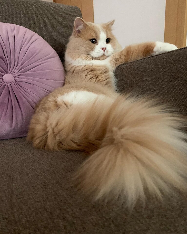 零依(レイ) ♂ 1歳。