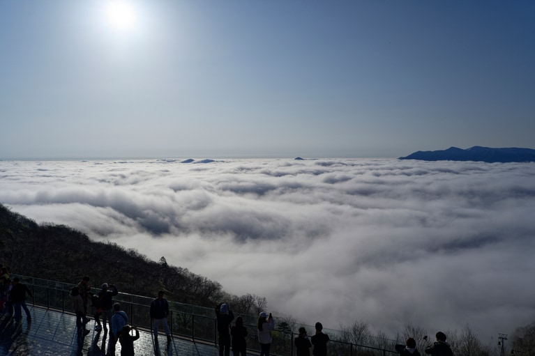 雲海テラスで見られるもっともダイナミックな雲海「太平洋産雲海」©Shogo Oizumi
