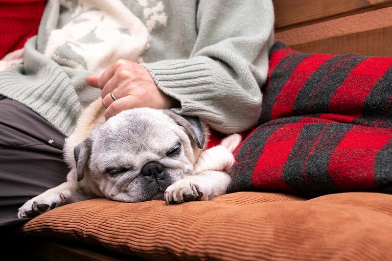 アザーカット。