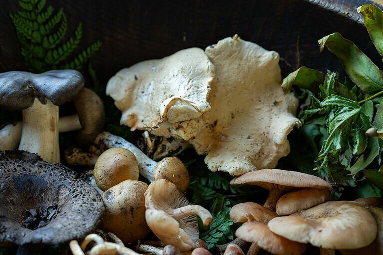 新潟県・里山十帖の秋