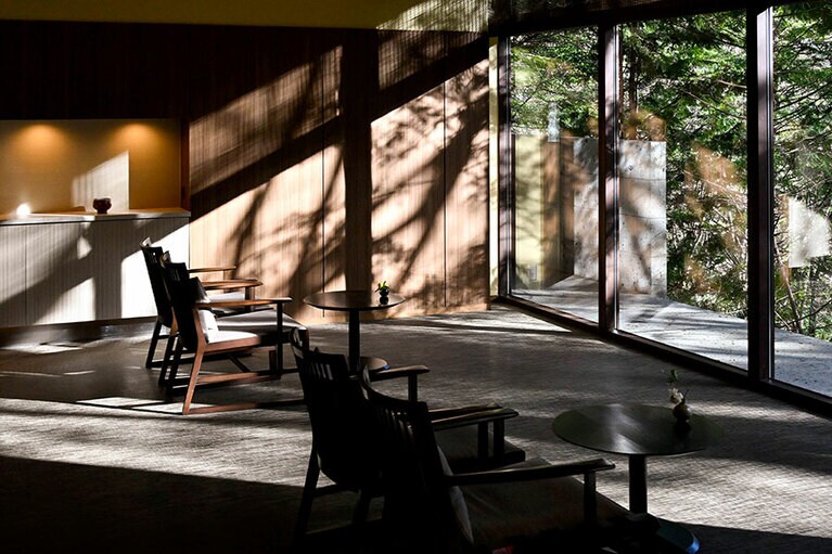 朝日にキラキラと輝く森の綠を眺めながらのコーヒータイムも素敵。