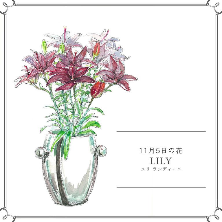 11月5日の花「ユリ ランディーニ」