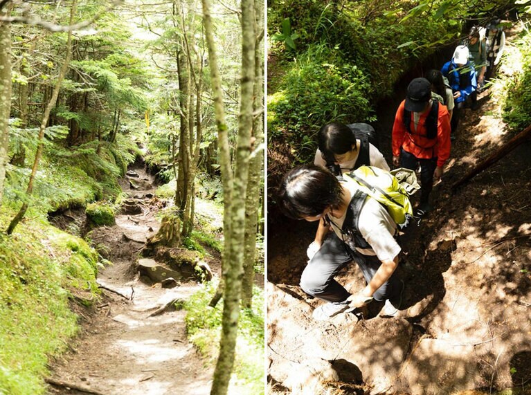 木漏れ日の模様を映し出した心地いいトレイルがつづく。