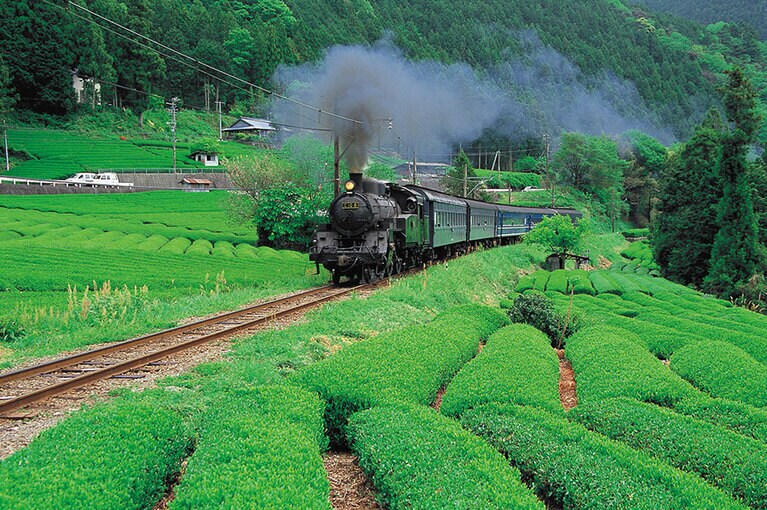 大井川流域「南アルプスへの道・お茶の道」／静岡県