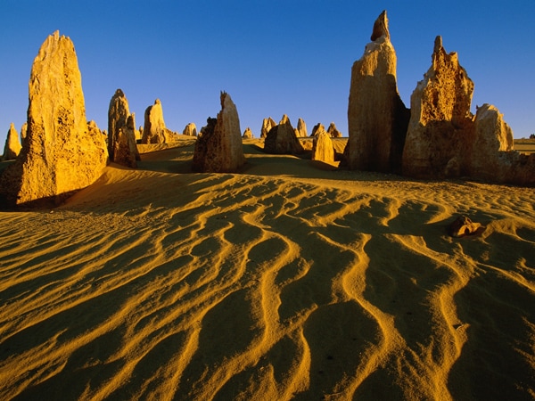 オーストラリアの黄色い砂漠に突如現れる無数の尖塔 | 今日の絶景