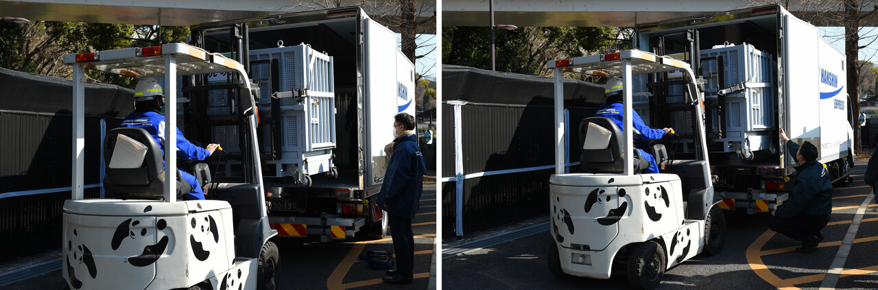 シャオシャオ（左）とレイレイが入った輸送箱をトラックへ。（提供：（公財）東京動物園協会）