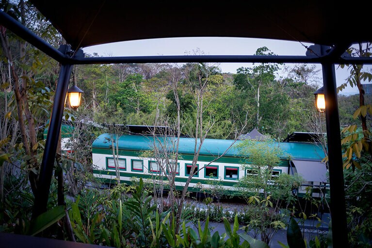 列車が森の中に停車しているような不思議な光景。