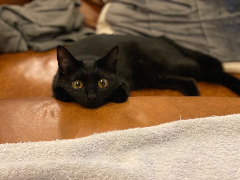 くま ♀ 1歳。遊び疲れて、ぺたん。