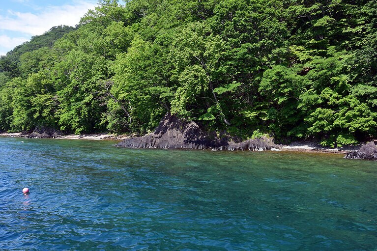 水際は周囲の緑が反射するのか、緑がかったブルーに見えます。