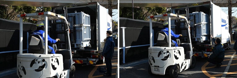 シャオシャオ（左）とレイレイが入った輸送箱をトラックへ。（提供：（公財）東京動物園協会）