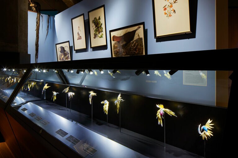 インターメディアテク開館十周年記念特別展示『極楽鳥』会場写真 ©UMUT+L’ÉCOLE