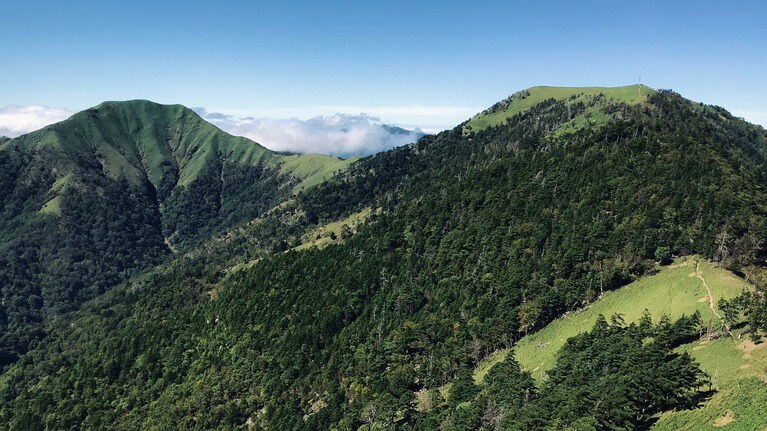 日本百名山に選出されている標高1,955メートルの剣山。（写真提供：パドルブリュー）