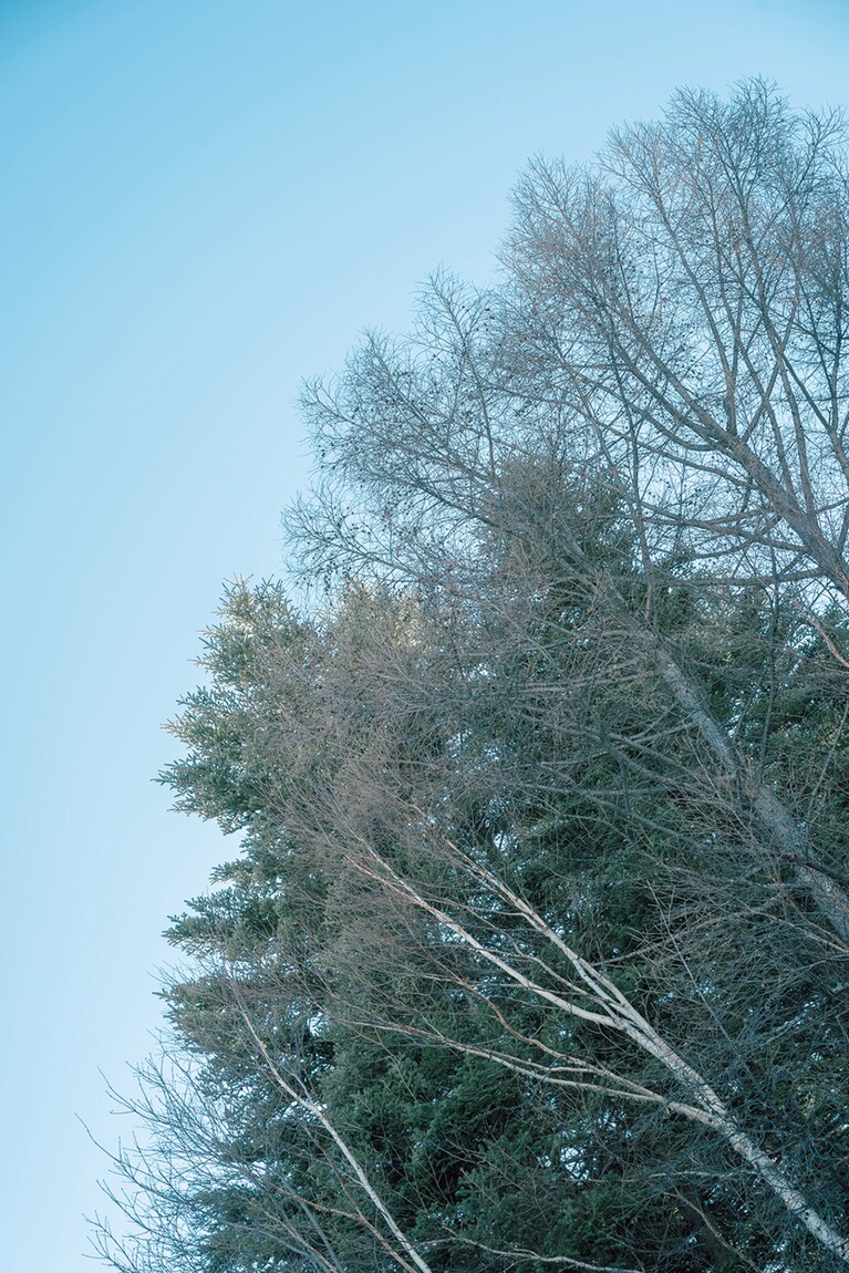 【SPA LODGE REDWOOD INN】1,500メートルの標高にあるここは11月になると雪が積もりはじめ、冬場はスキーを楽しむ客が訪れる。Photo: Yukihiro Shinohara