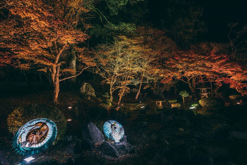 【広島県】尾関山公園の紅葉とライトアップ。写真：一般社団法人三次観光推進機構提供