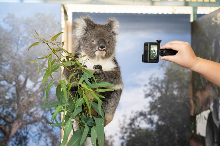 写真も至近距離で。