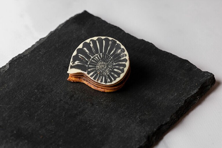 受賞ケーキのひとつ「アンモナイト」。