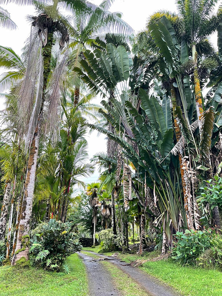 バウムクーヘン・ファームの入口。