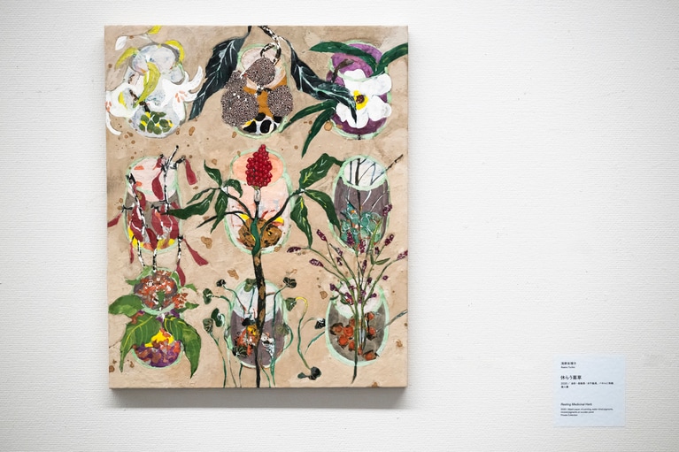 浅野友里子《休らう薬草》 2020