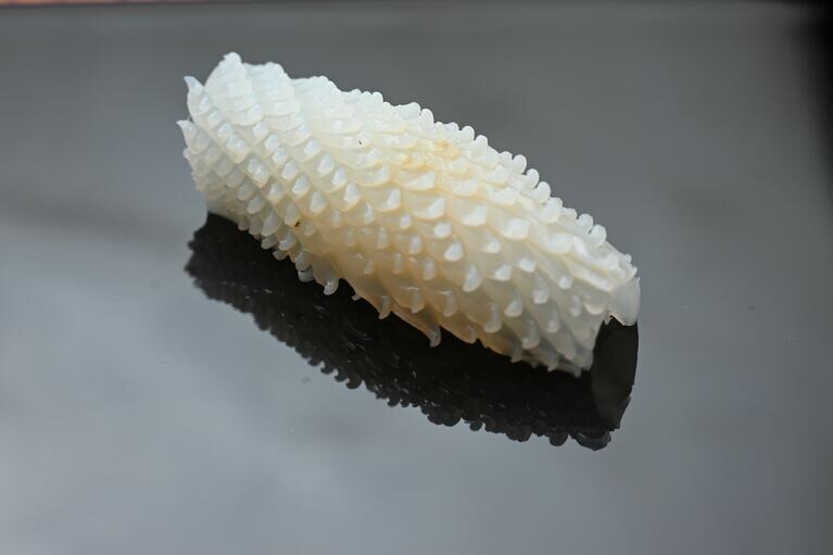 アートのように洗練された佇まいで食べるのが惜しくなります。