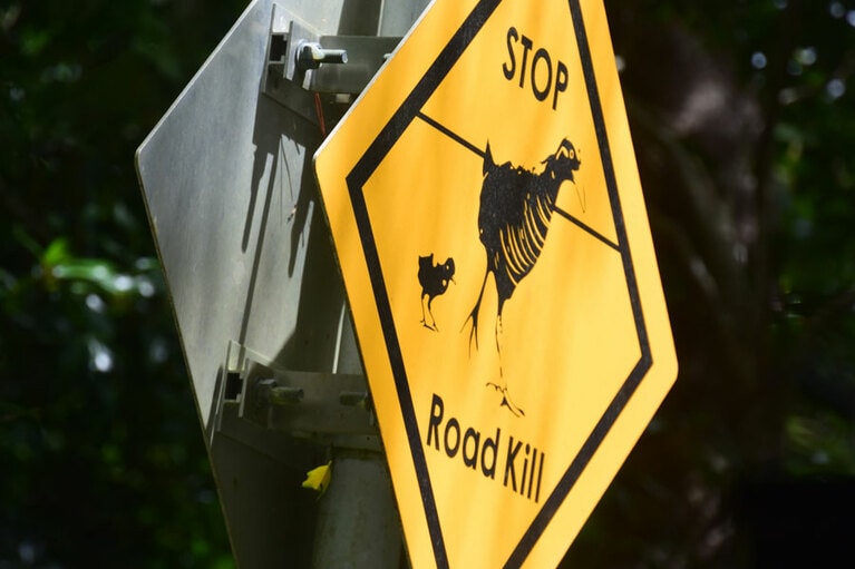 ロードキルの注意をうながす看板。交通事故のみならず、道路脇の側溝も生き物たちの脅威。