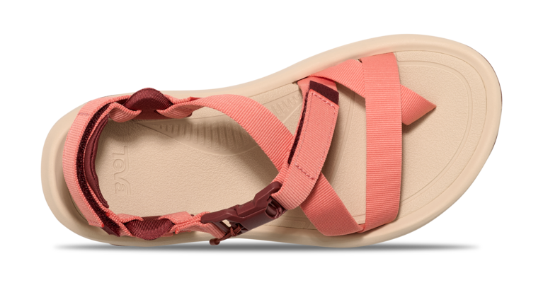 「Hurricane Terra Dactyl」