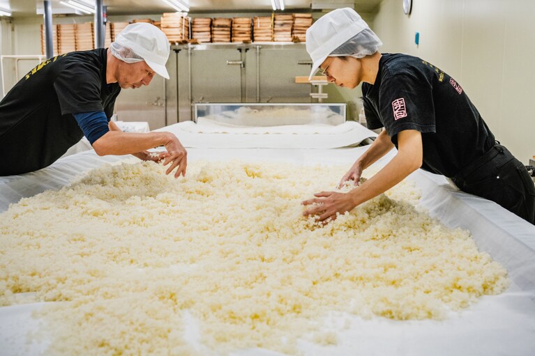 洗米、浸漬、水切りを経て蒸した米は、よくほぐして均等に冷まし、麹菌の繁殖や発酵を調整する。