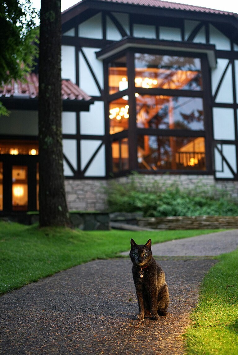 日本／長野県(蓼科東急ホテル)。