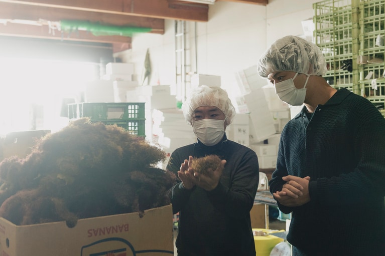 倉庫にはギッシリといご草が。