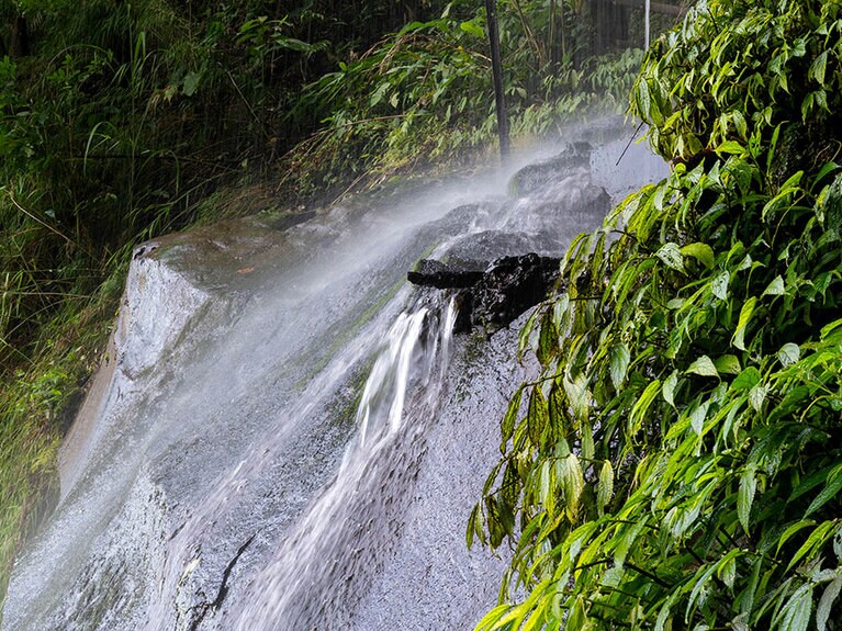 滝の近くだけに湧き水もこんこんと。巨岩も多い。