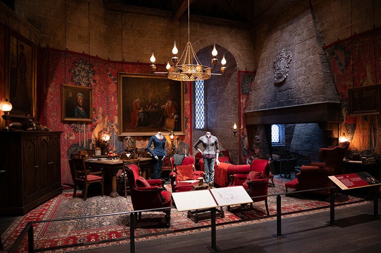 ゆったりとくつろげそうなグリフィンドールの談話室。