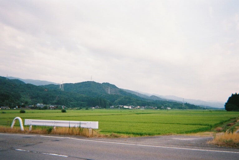 田んぼと山がずっと広がっていて、おばあちゃん家に来たようだった。