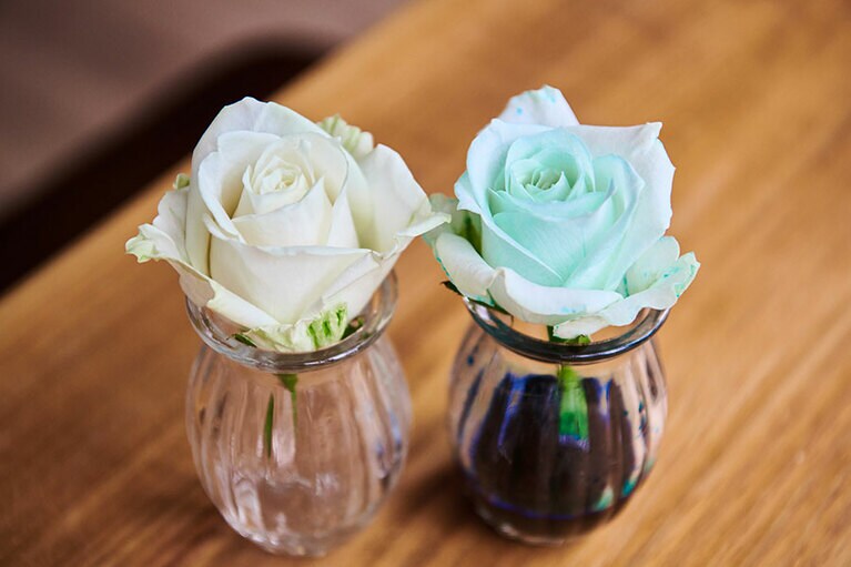 30分もつけておくとだいぶ色が染まってきます。