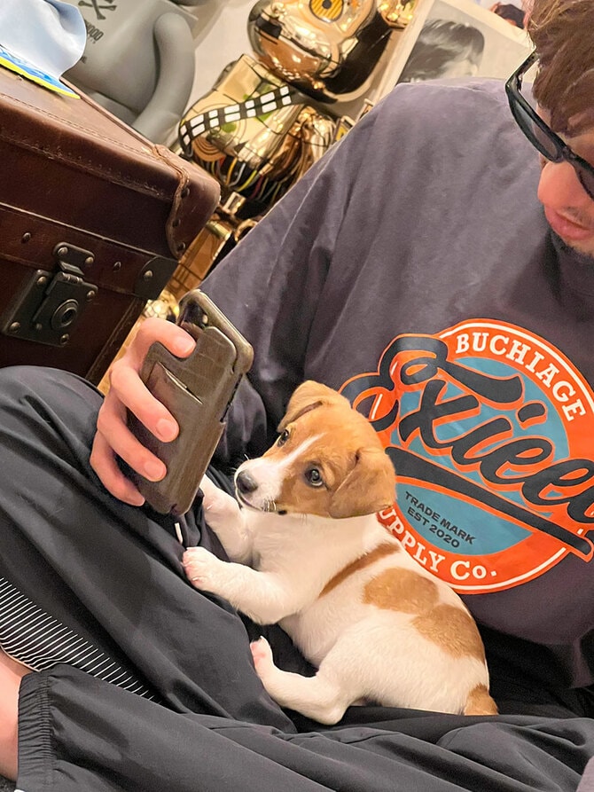 たろさん 楽天市場】たろちゃんず ミニタオル ぎゅっ [ ハンドタオル タオル