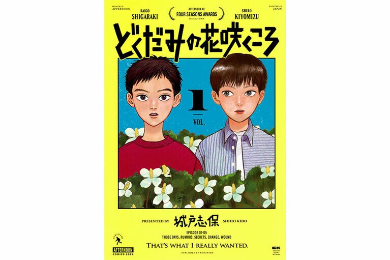 『どくだみの花咲くころ』城戸志保／講談社