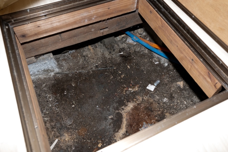 驚くほど地面むき出しである。