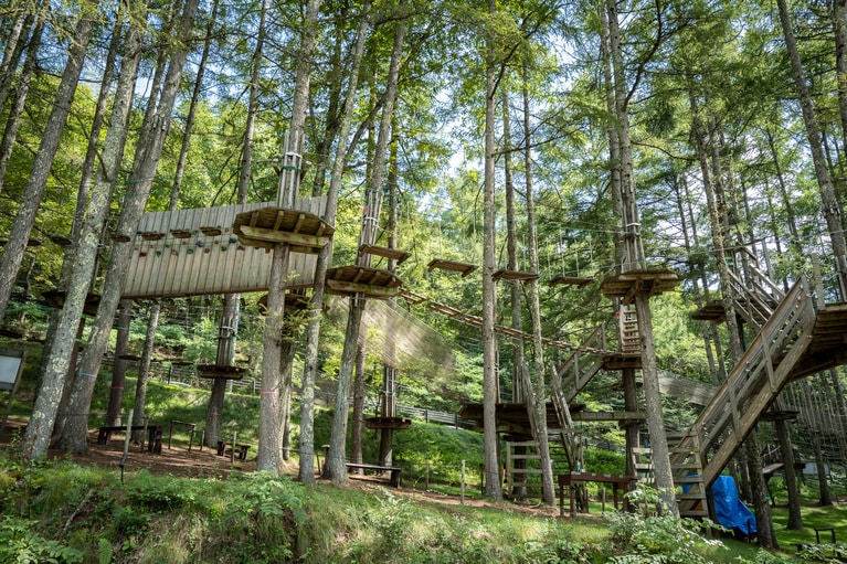 「フォレストアドベンチャー蓼科」。