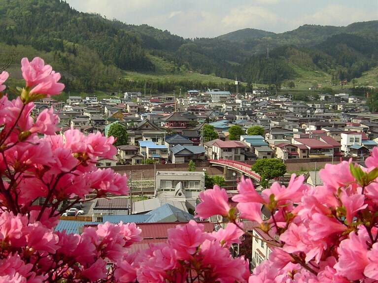 茶臼山公園のつつじ。