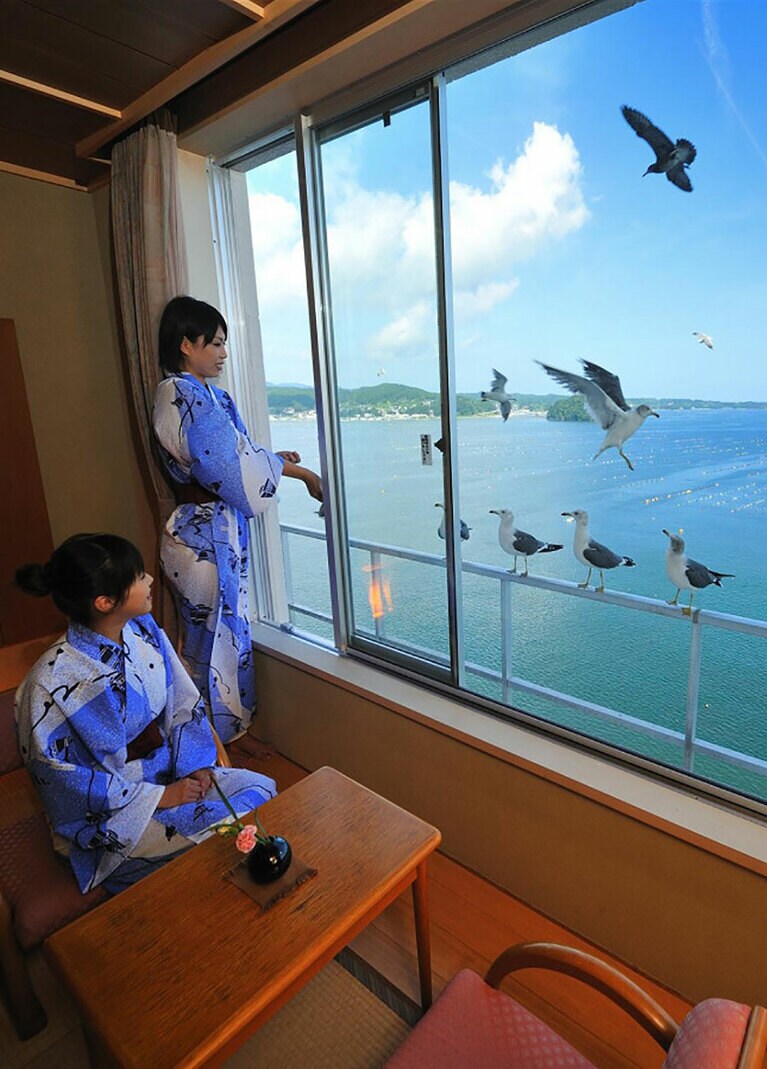 お部屋の窓の外にウミネコがやってくることも。