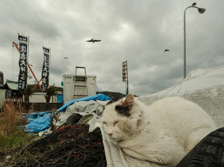 vol.068「『初詣』……誰も来ないのニャ……」