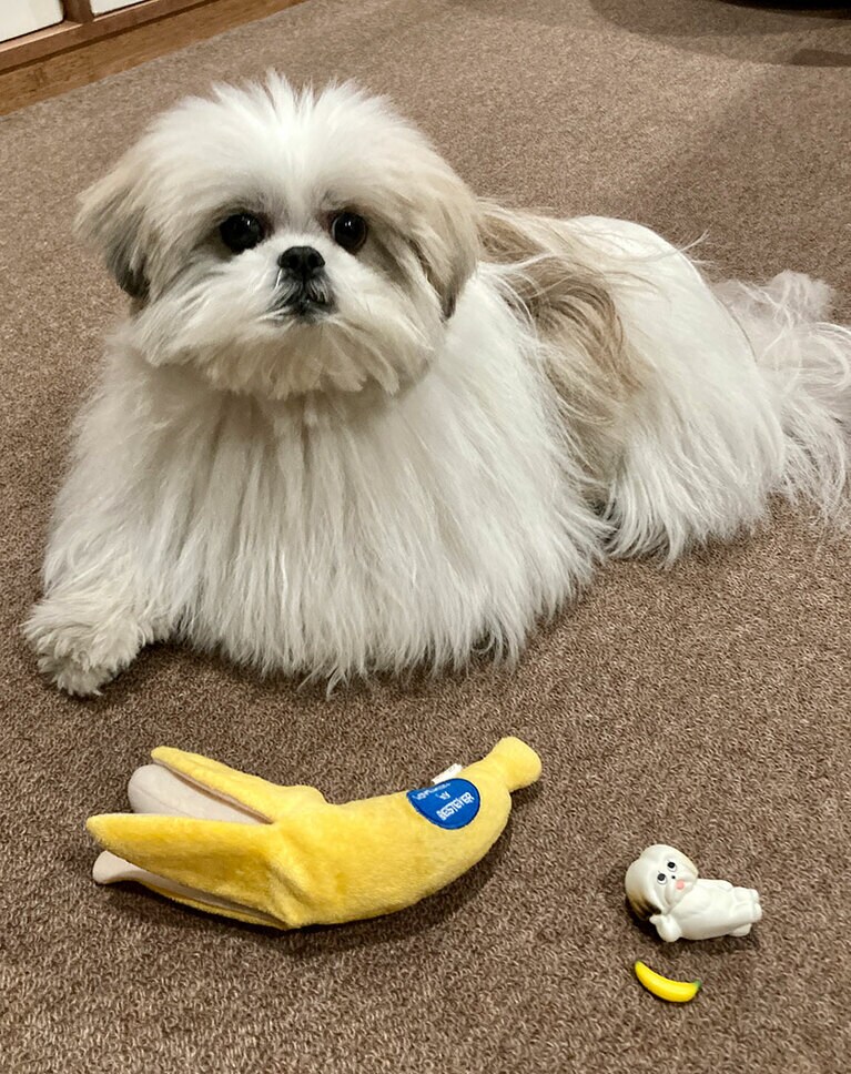 ミニチュアのマネをするモコゾウ。