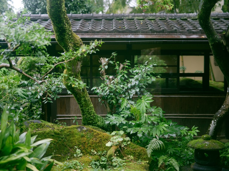 中庭の苔むした岩や生命力あふれる緑の木々が歴史を物語る。