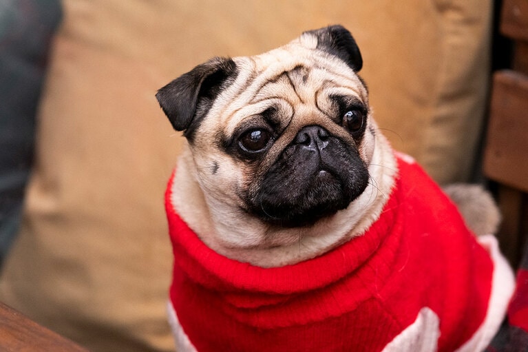 アザーカット。