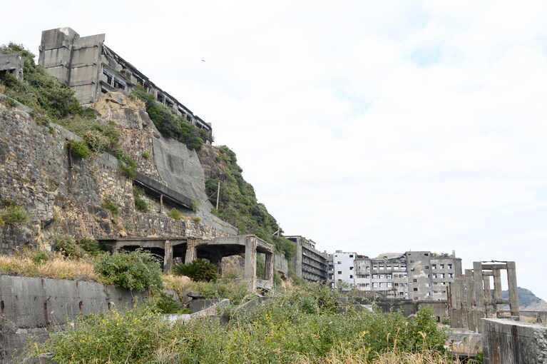 コンクリートの間から植物が見られるが、木が育つスペースはない。