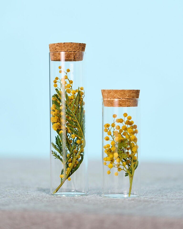 ドライになるにつれて花色が黄色からオレンジへ変わっていきます。