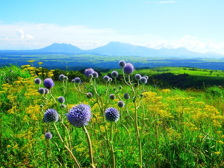 産山村・ヒゴダイ公園。