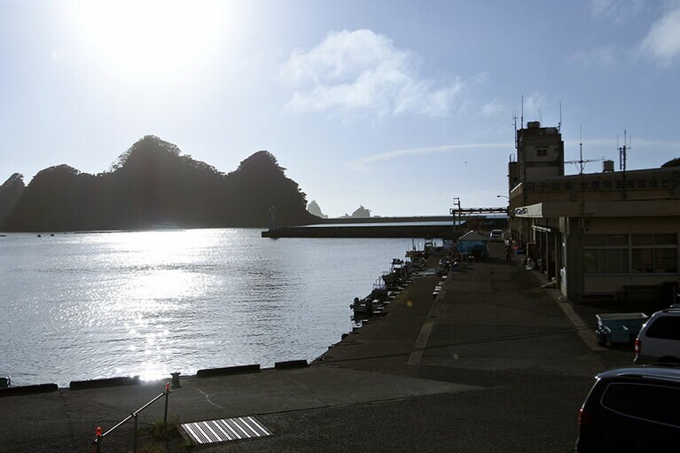 かつて活況を呈した田子漁港。すぐ沖に山の形をした尊の島が浮かんでいます。