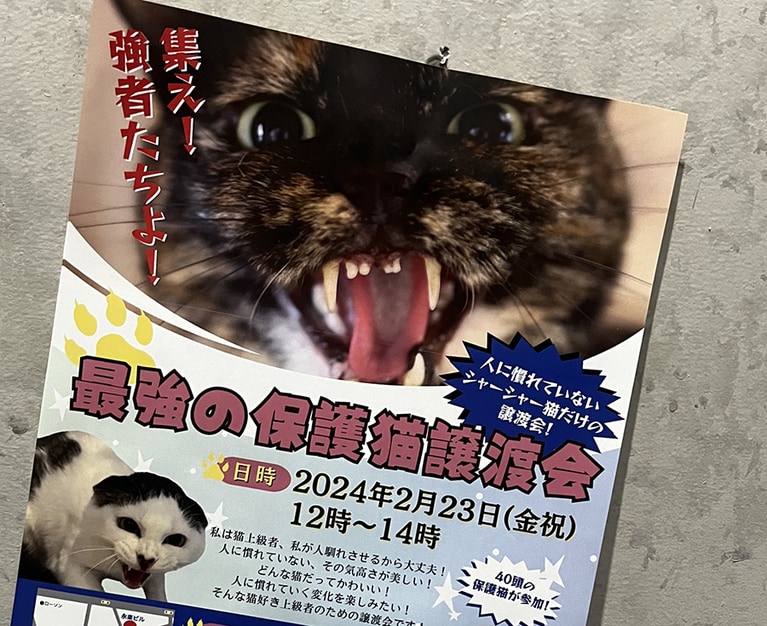 「集え！　強者たちよ！」。「最強の保護猫譲渡会」のド迫力のチラシです。