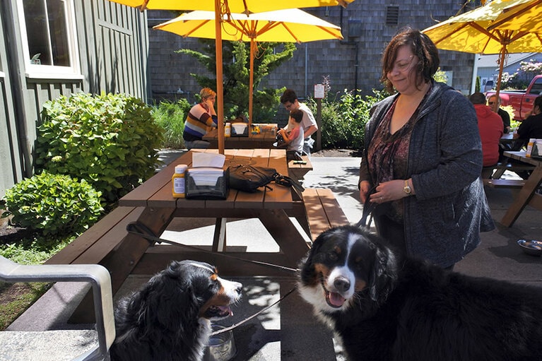 パシフィックコーストブリュワリーではワンちゃんたちもブレイク中。