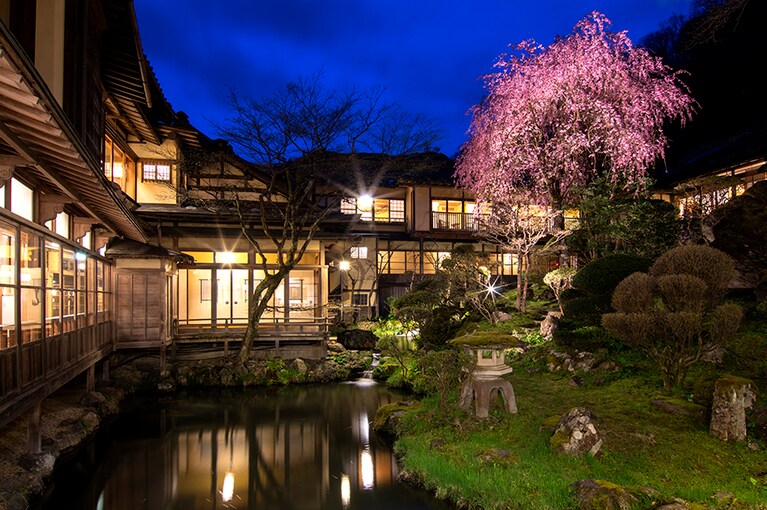 会津東山温泉 向瀧［福島／会津東山温泉］庭園 しだれ桜。