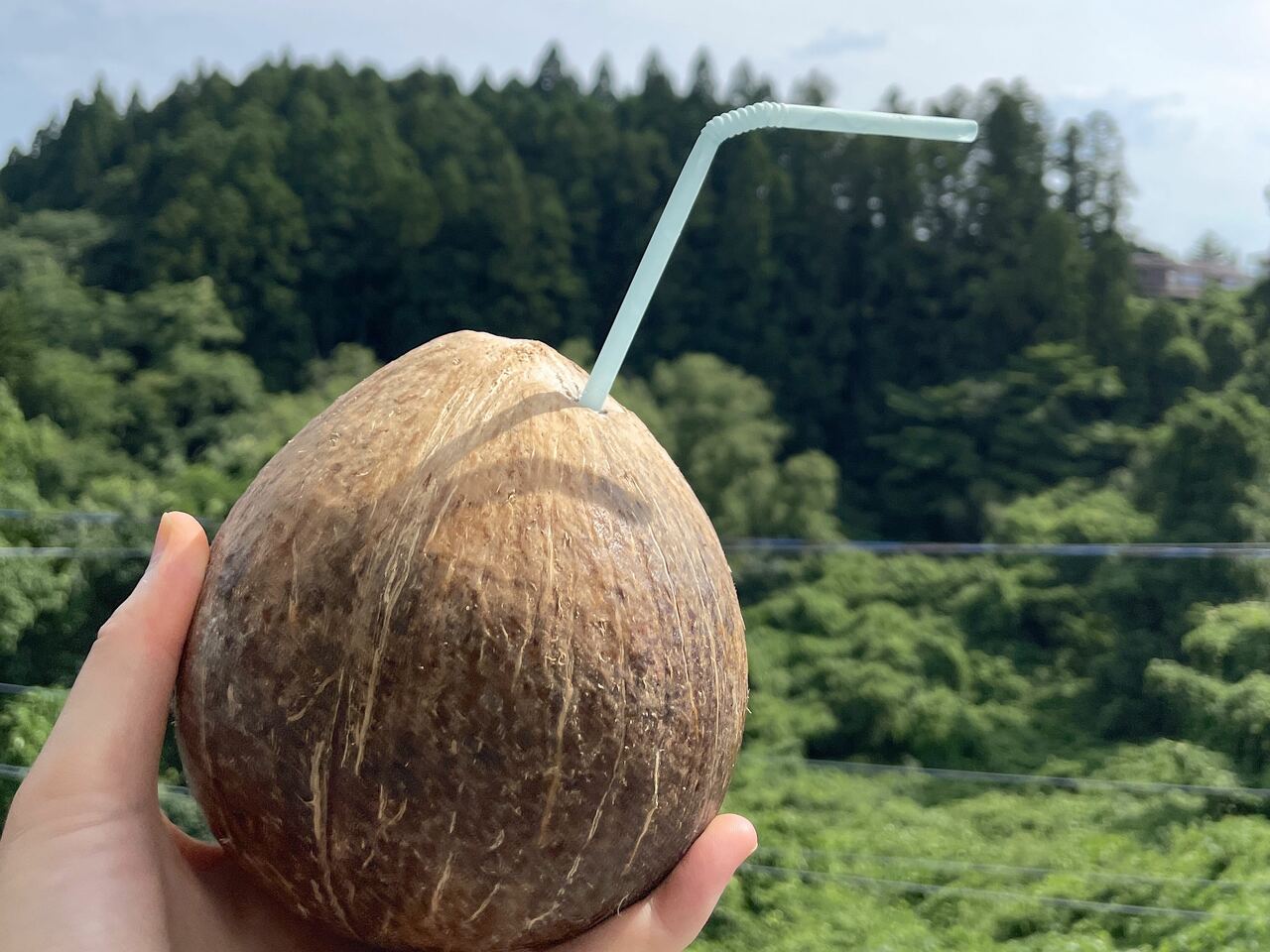 暑い地域で愛飲されているココナッツウォーターは薬膳の観点からも◎。